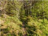 Col - Križna gora above Col